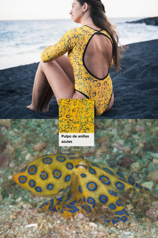 Fitplanet Bañador Surf Manga Larga - Pulpo Anillos Azules - Imagen 8